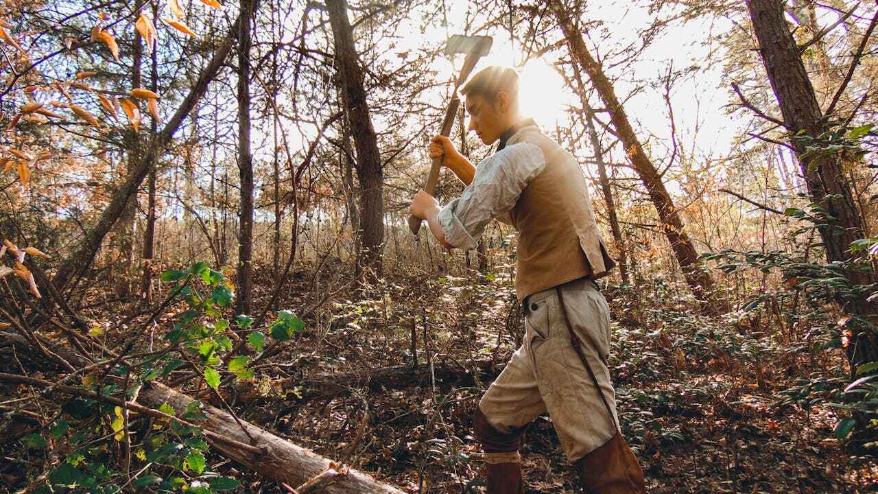 Tree Removal for Businesses in Shields, MI